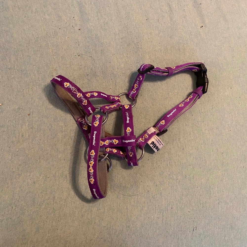 Dogmatic Head Halter
